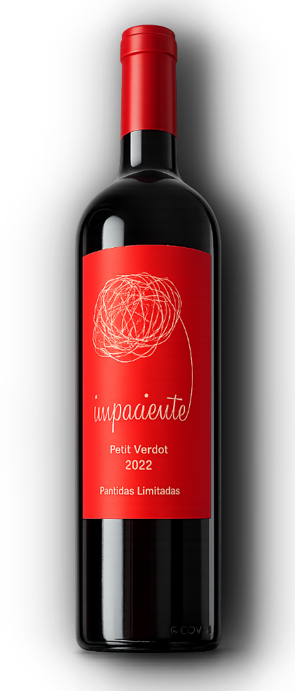 Vino mendoza petit verdot