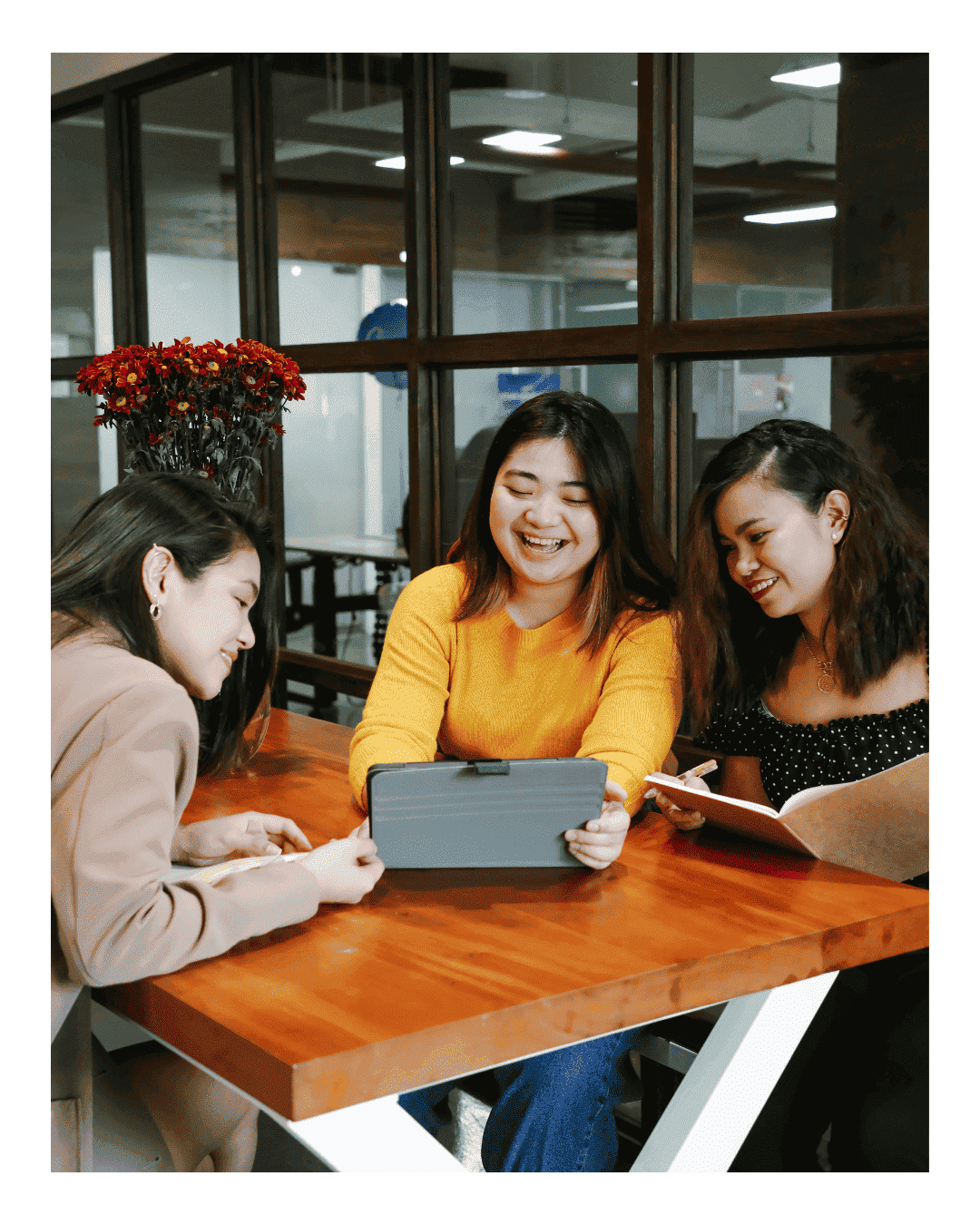 espaço do aluno Anhanguera