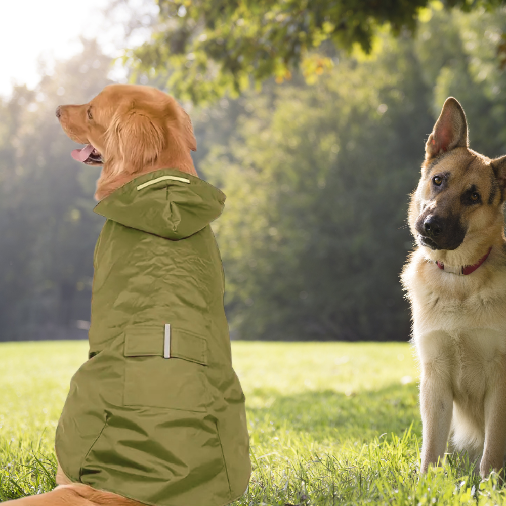 Foto de 🐕 María - Mamá de Max