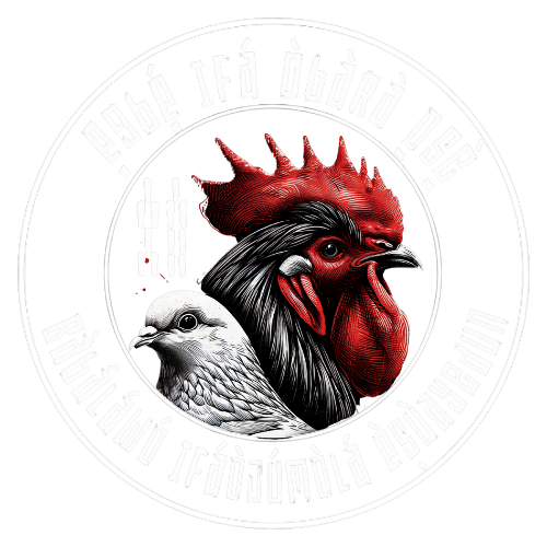 egbe-ifá-obara-ose-maringá-paraná