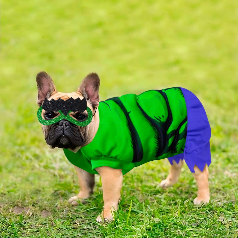 Foto de 🦸 Carlos - Papá de Rocky